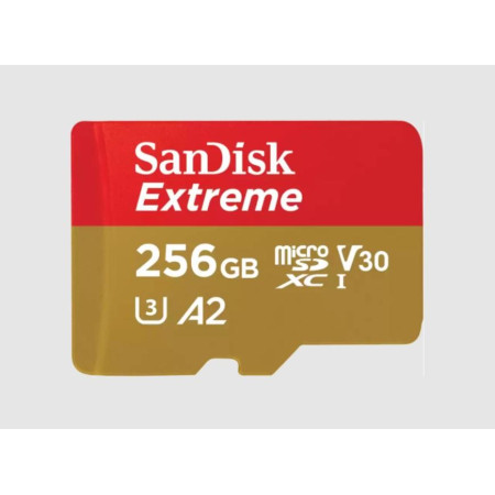 SanDisk 256GB Micro SDXC UHS-I/W/A