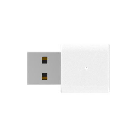 D-Link AN3U N300 USB Wi-Fi Adapteris