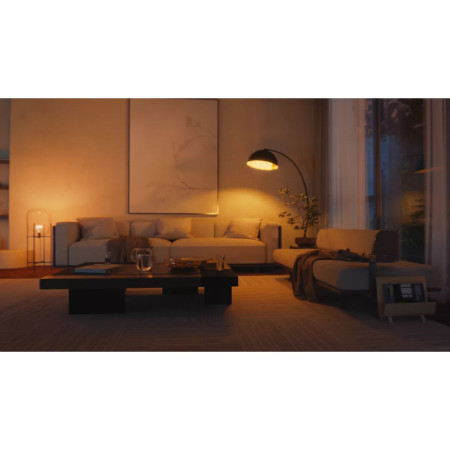 Philips Hue Inteligentiška lemputė A60 E27 - 810 | 2 vnt.
