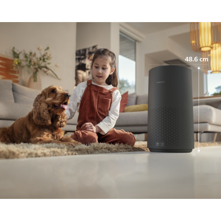 Philips AC1715/10 oro valytuvas