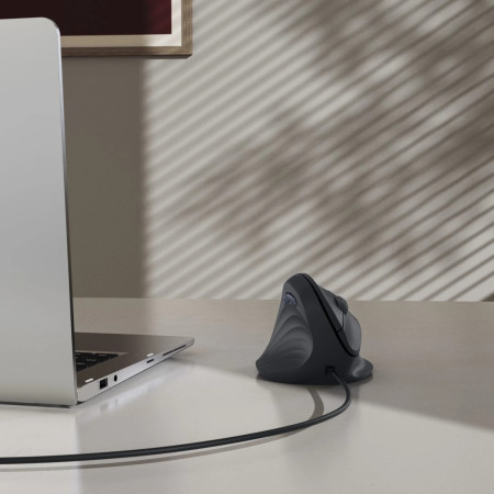 Hama ECM-500L belaidė kompiuterio pelė