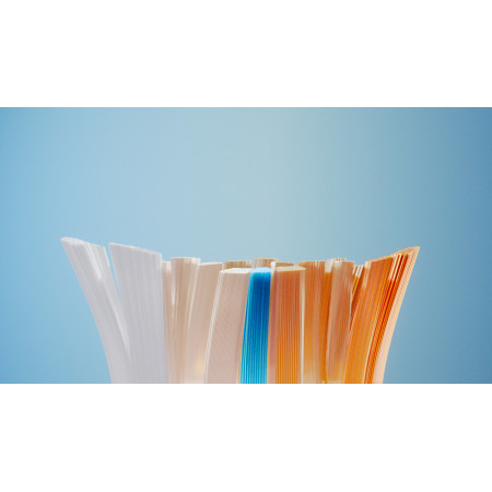 Philips Sonicare Premium All-in-One HX9092/88 šepetėlių galvučių pakuotė