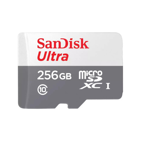 SanDisk 256GB Micro SDXC Atminties Kortelė