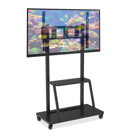 Mobilus televizoriaus stovas LED/LCD/PDP 55-100", 150kg