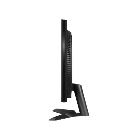 LG 24 colių kompiuterio monitorius