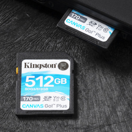 Kingston Technology Canvas Go! Plus 512 GB SD UHS-I Klasės 10