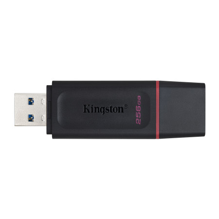 Kingston DataTraveler Exodia USB atmintukas 256 GB A tipo
