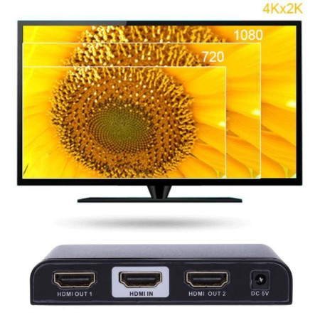Techly HDMI 2-portų skirstytuvas