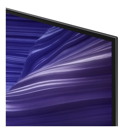 Samsung S90F QE48S90FAEXXH Televizorius 48"