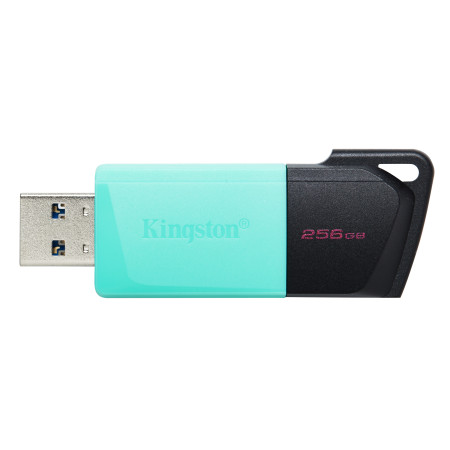 Kingston Technology DataTraveler Exodia M USB atmintukas 256 GB