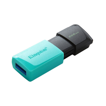 Kingston Technology DataTraveler Exodia M USB atmintukas 256 GB