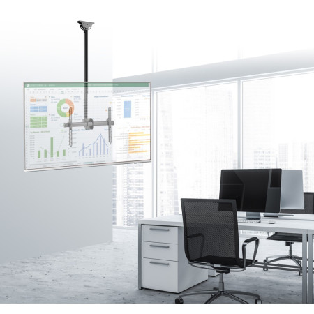 Techly 37-70 colių televizoriaus lubinis laikiklis, iki 50 kg