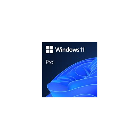 Microsoft Windows 11 Pro GGK 64Bit OEM DVD
