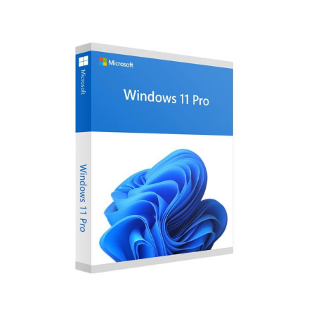 Microsoft Windows 11 Pro (Retail, USB)