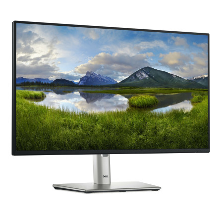 DELL Pro Plus P2425H 60,5 cm (23.8") kompiuterio monitorius