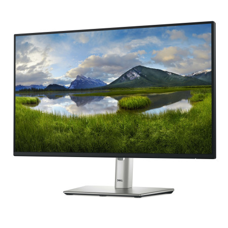 DELL Pro Plus P2425HE 60,5 cm (23.8") kompiuterio monitorius