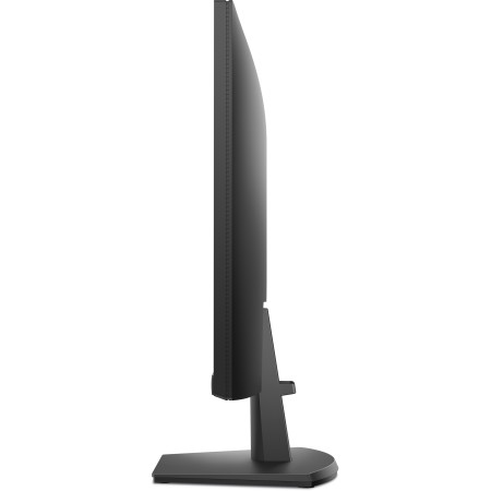 DELL SE2425HM 23.8" Full HD kompiuterio monitorius