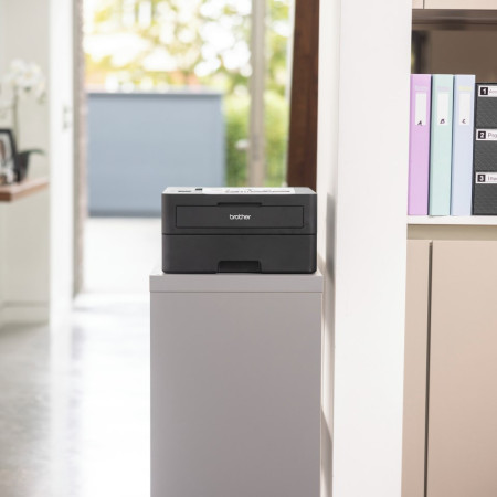 Brother HL-L2460DN spausdintuvas