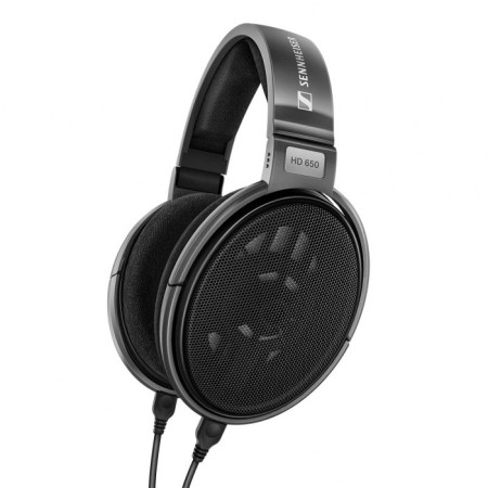 Sennheiser HD 650 Ausinės Pilkos