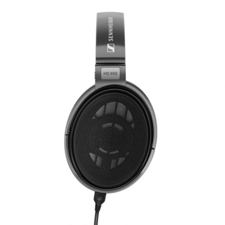 Sennheiser HD 650 Ausinės Pilkos