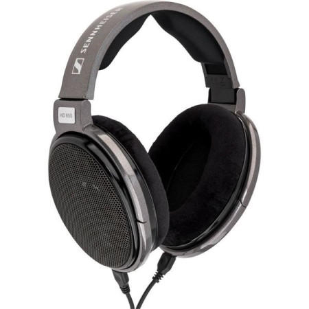 Sennheiser HD 650 Ausinės Pilkos