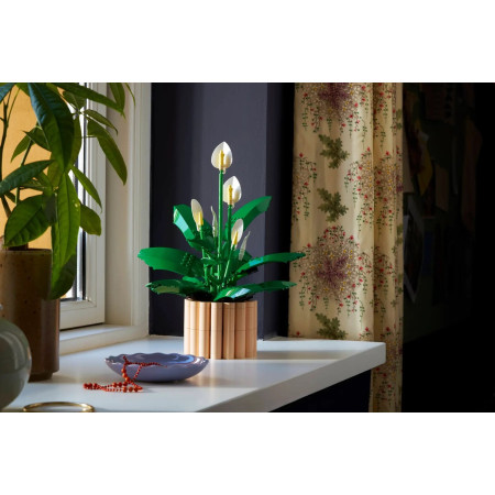 LEGO Botanicals 11504 Skridlinis augalas