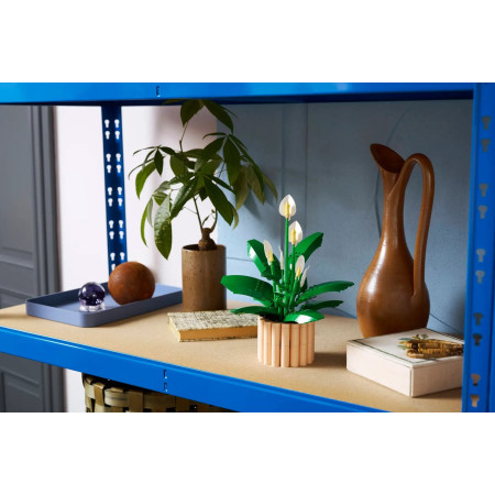 LEGO Botanicals 11504 Skridlinis augalas