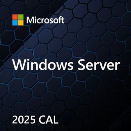 Windows Server 2025 5 CAL PL Vartotojas OEM