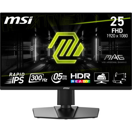 MSI MAG 255PXF kompiuterio monitorius 24.5 colių Full HD