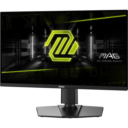 MSI MAG 255PXF kompiuterio monitorius 24.5 colių Full HD