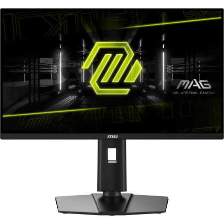 MSI MAG 255PXF kompiuterio monitorius 24.5 colių Full HD