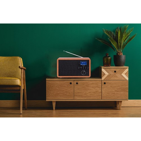 DAB+ Radio grotuvė AD 1184 su Bluetooth ir USB