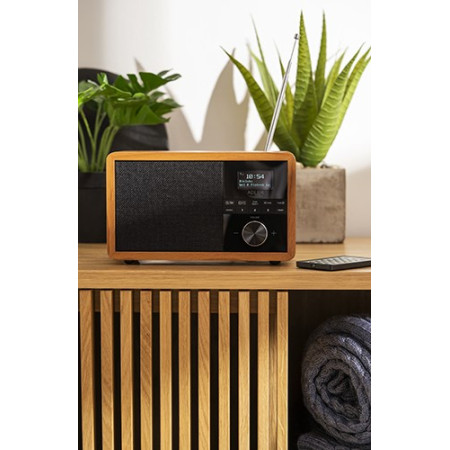 DAB+ Radio grotuvė AD 1184 su Bluetooth ir USB
