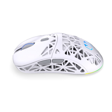 Endorfy LIV Wireless Onyx White pelė
