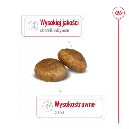 Royal Canin SHN Maxi Adult - sausa karma suaugusiems šunims - 15kg