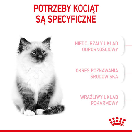 Royal Canin FHN Katinėlių sausa karma - 10kg