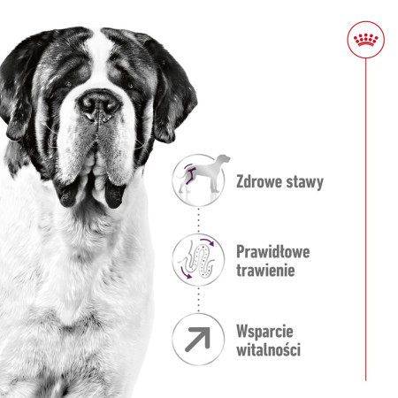 Royal Canin SHN Giant Adult sausa karma - 15kg