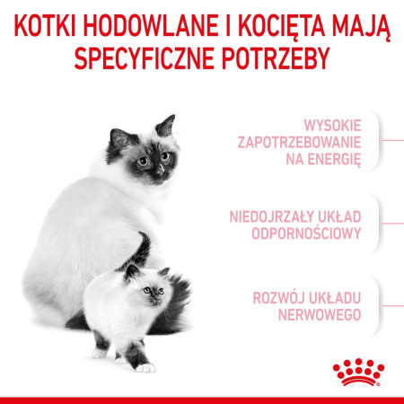 Royal Canin Mother & Babycat sausa karma - 4kg