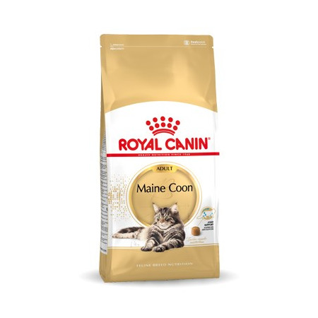 Royal Canin FBN Maine Coon Adult sausa karma suaugusiems katėms - 10kg