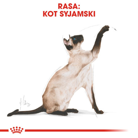 Royal Canin FBN Siamese sausa karma - 2kg
