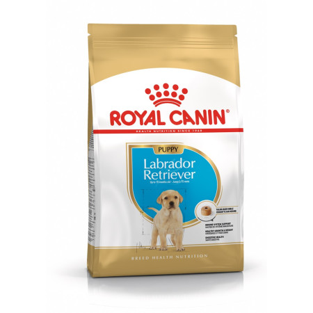 Royal Canin SHN LABRADOR JUNIOR sausa karma (12 kg)