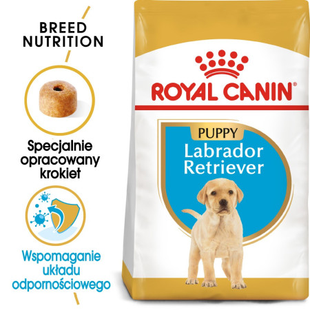 Royal Canin SHN LABRADOR JUNIOR sausa karma (12 kg)