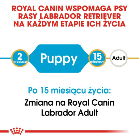 Royal Canin SHN LABRADOR JUNIOR sausa karma (12 kg)