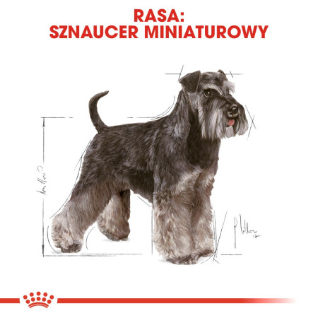 Royal Canin BHN Miniatiūrinis Šnauceris Suaugusiųjų Sausa Karma - 3kg