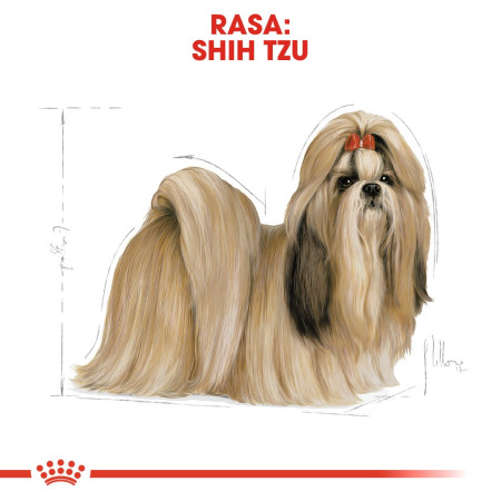 Royal Canin BHN Shih Tzu Adult - sausa karma suaugusiems šunims - 7,5kg