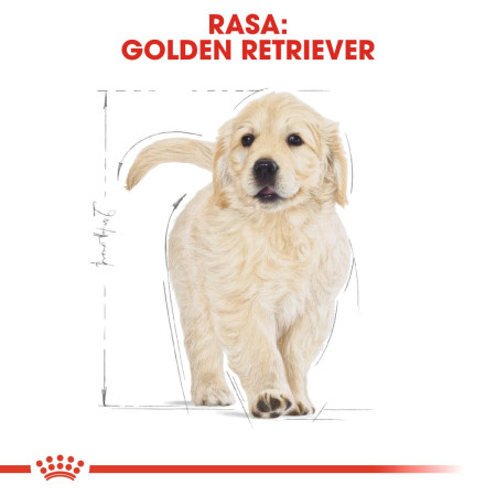 Royal Canin BHN Golden Retriever Puppy - sausa karma šuniukams - 12kg