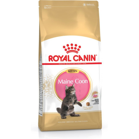 Royal Canin Karma FBN Kačiukams Maine Coon (4 kg)