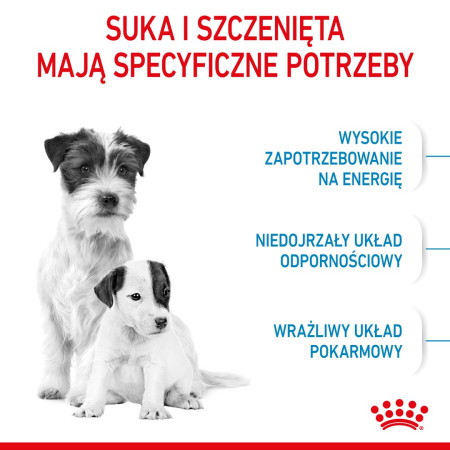 ROYAL CANIN Mini Starter Mama ir šuniukai 1kg