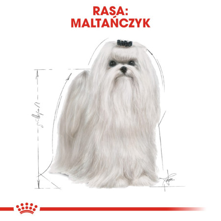 ROYAL CANIN Maltiečių maistas 1,5kg