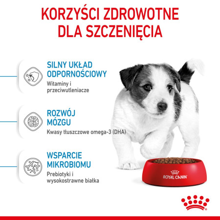 Royal Canin SHN Mini Junior Sausas Maistas (2 kg)